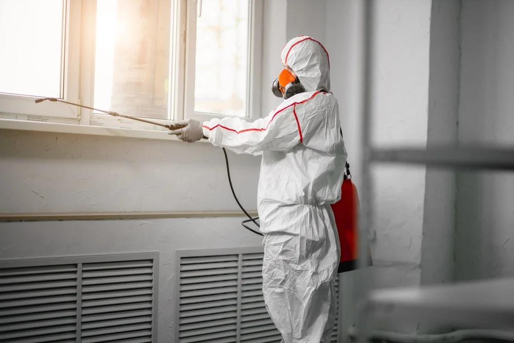 Professional mold remediation services in Niles, IL